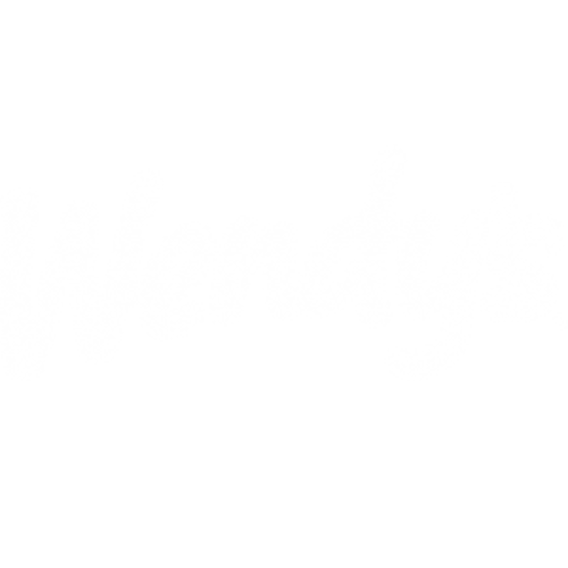 wendys
